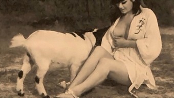 Classic Taboo: Pussy And Dog Play In Retro Porn